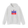 Colbert 2028 Hoodie - Ash