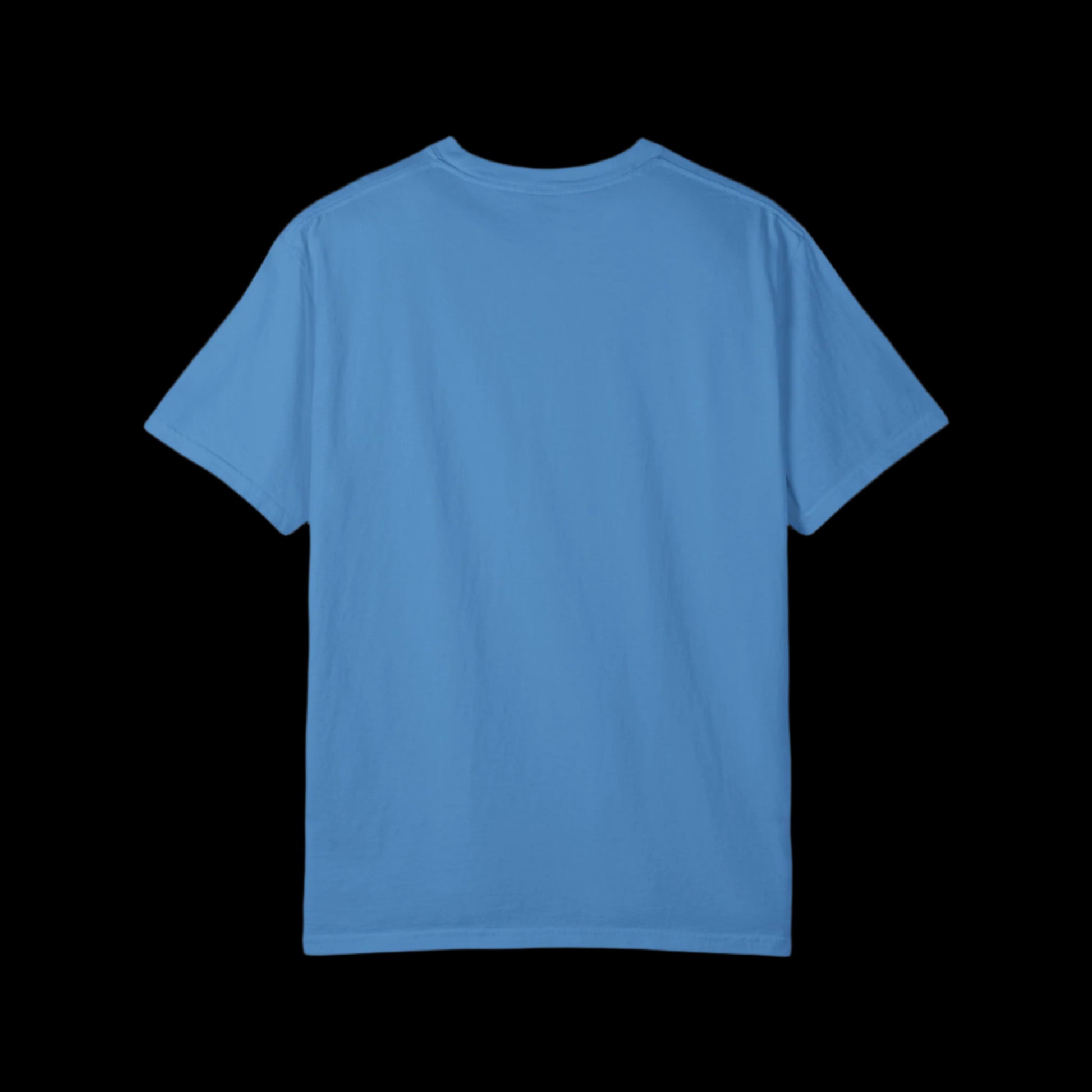 Impeach FLOTUS Patriotic Tee | Bold, Unapologetic - empowHERbyHeidi