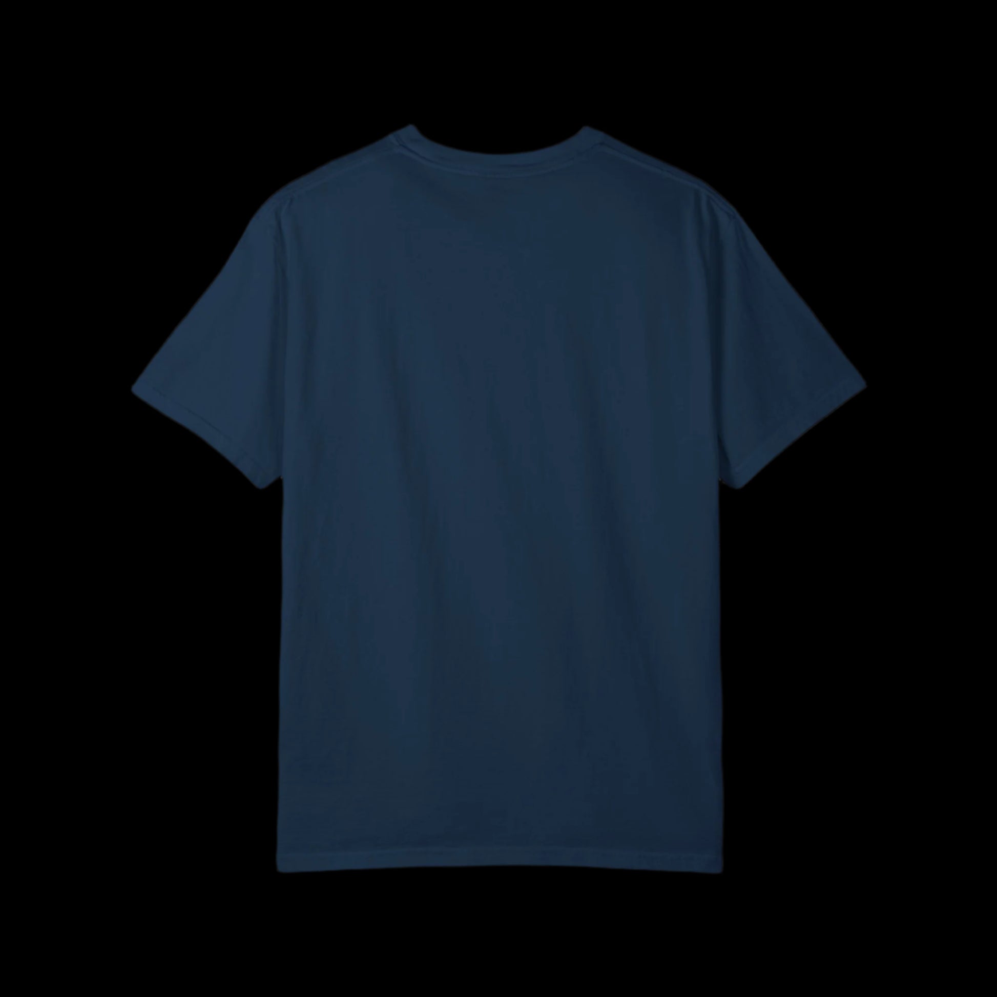 Springsteen/Swift 2028 T-Shirt - empowHERbyHeidi