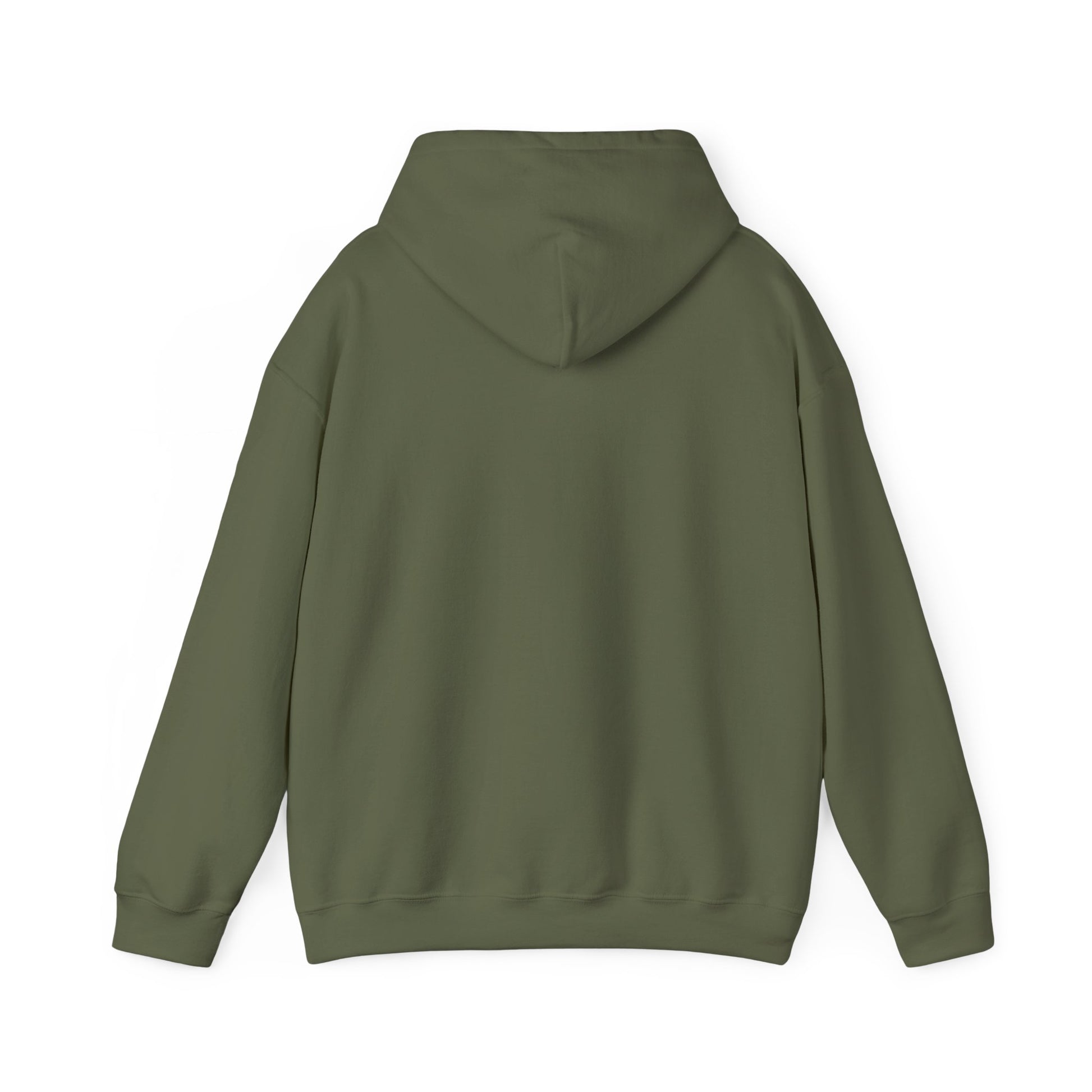 Green hoodie shown from the back on a white background