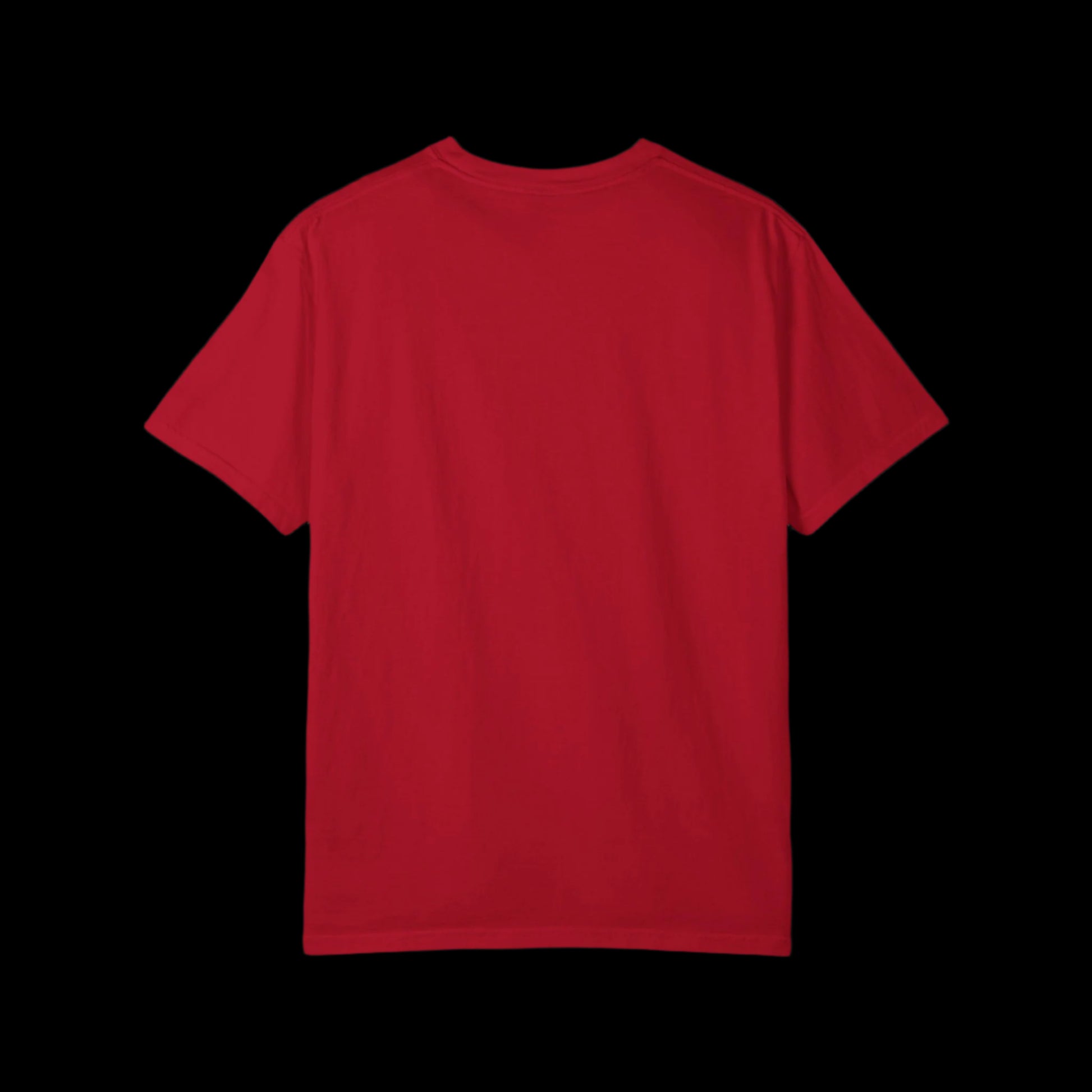 Springsteen/Swift 2028 T-Shirt - empowHERbyHeidi