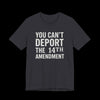 You Can't Deport the 14th Amendment Jersey Tee - Gray